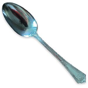 Marion Silverplate Dinner Spoon Camden 1929